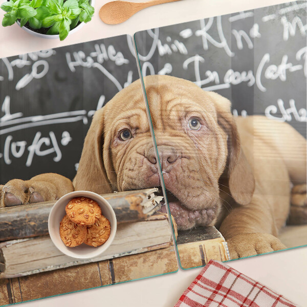 Planche à découper verre Chien avec des livres et un tableau noir