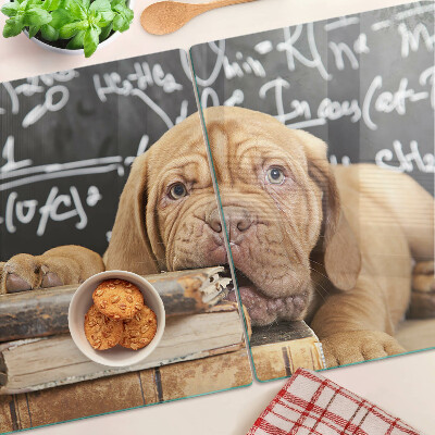 Planche à découper verre Chien avec des livres et un tableau noir