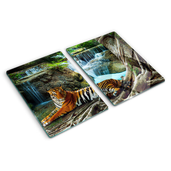 Planche à découper en verre Tigre dans son habitat naturel