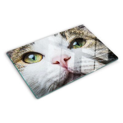 Planche à découper verre Un chat aux yeux verts