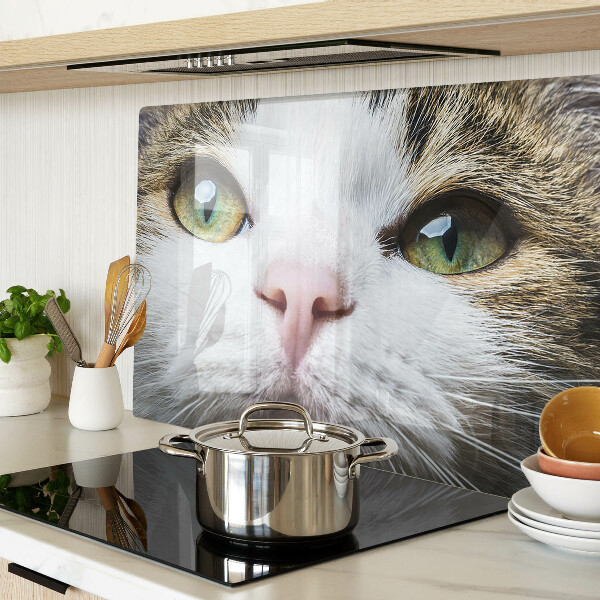 Planche à découper verre Un chat aux yeux verts
