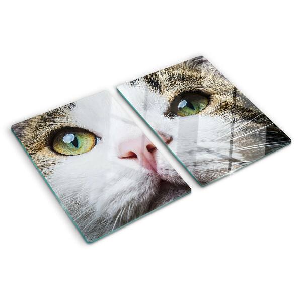Planche à découper verre Un chat aux yeux verts