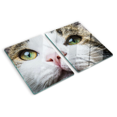 Planche à découper verre Un chat aux yeux verts