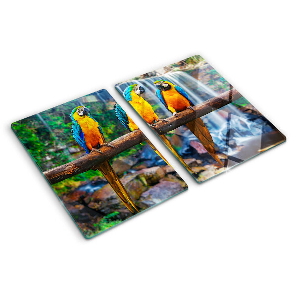Planche à découper verre Perroquets sur une branche dans une forêt tropicale
