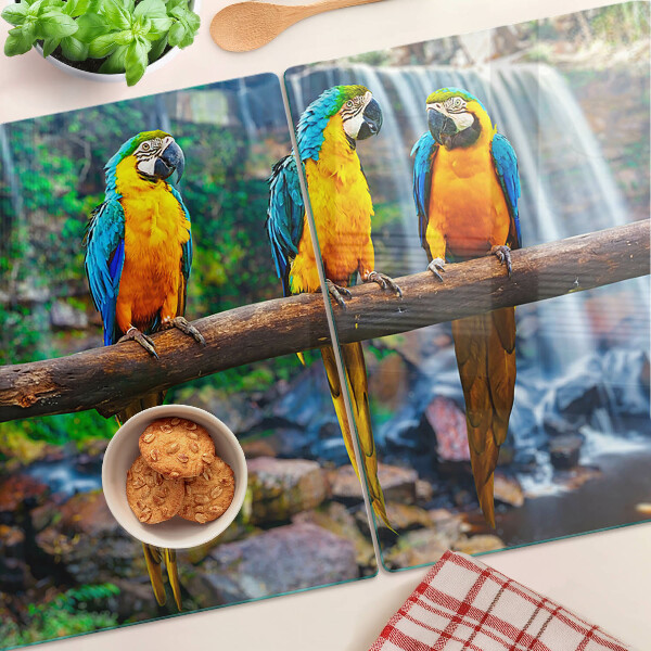 Planche à découper verre Perroquets sur une branche dans une forêt tropicale