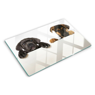 Planche à découper verre Deux chiens regardent autour d'eux