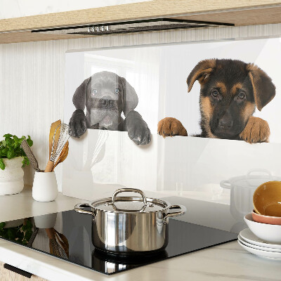 Planche à découper verre Deux chiens regardent autour d'eux