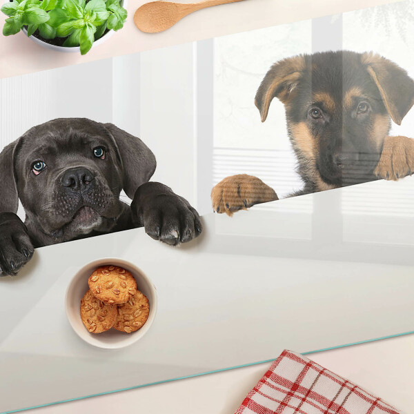 Planche à découper verre Deux chiens regardent autour d'eux