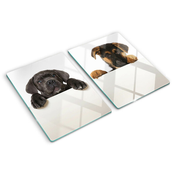 Planche à découper verre Deux chiens regardent autour d'eux