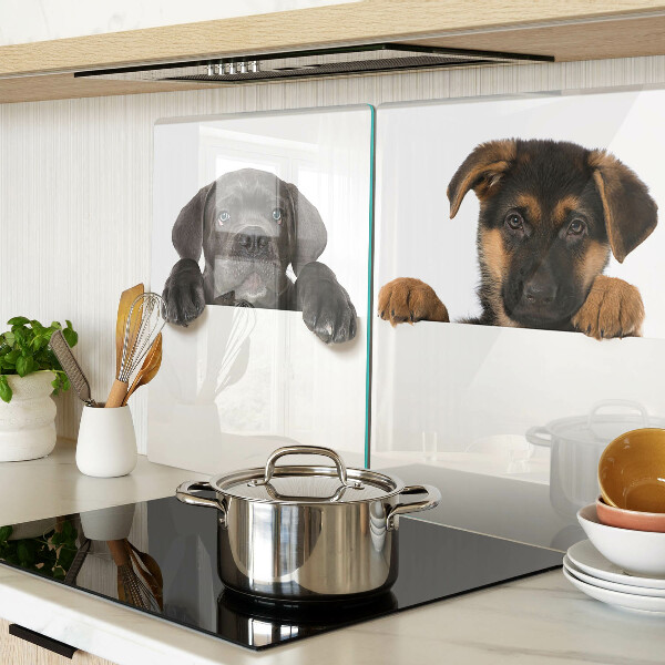 Planche à découper verre Deux chiens regardent autour d'eux