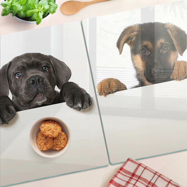 Planche à découper verre Deux chiens regardent autour d'eux