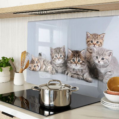 Planche à découper verre Des chats à l'arrière-plan de la fenêtre