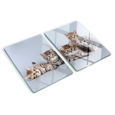 Planche à découper verre Des chats à l'arrière-plan de la fenêtre