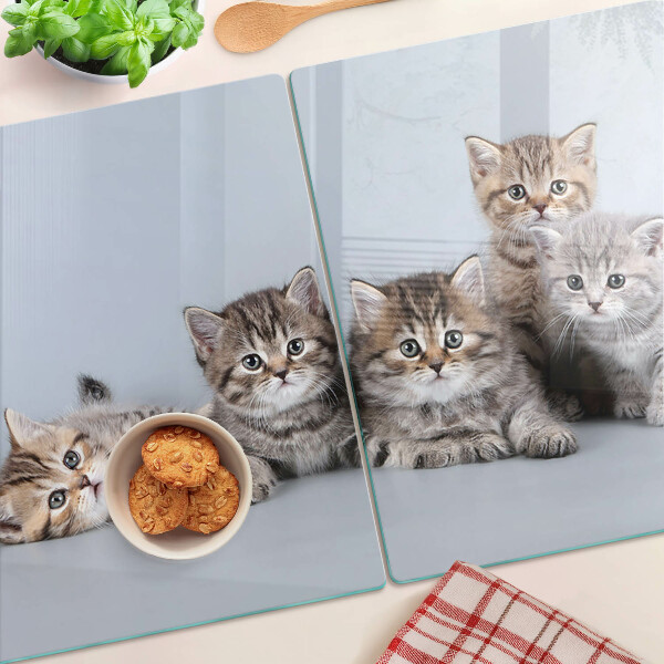 Planche à découper verre Des chats à l'arrière-plan de la fenêtre