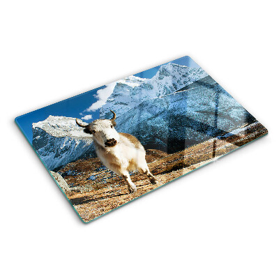 Planche à découper en verre Une vache dans les montagnes