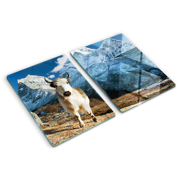 Planche à découper en verre Une vache dans les montagnes