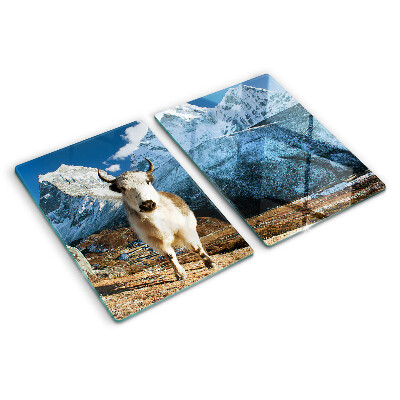 Planche à découper en verre Une vache dans les montagnes