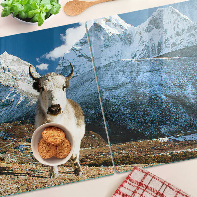 Planche à découper en verre Une vache dans les montagnes