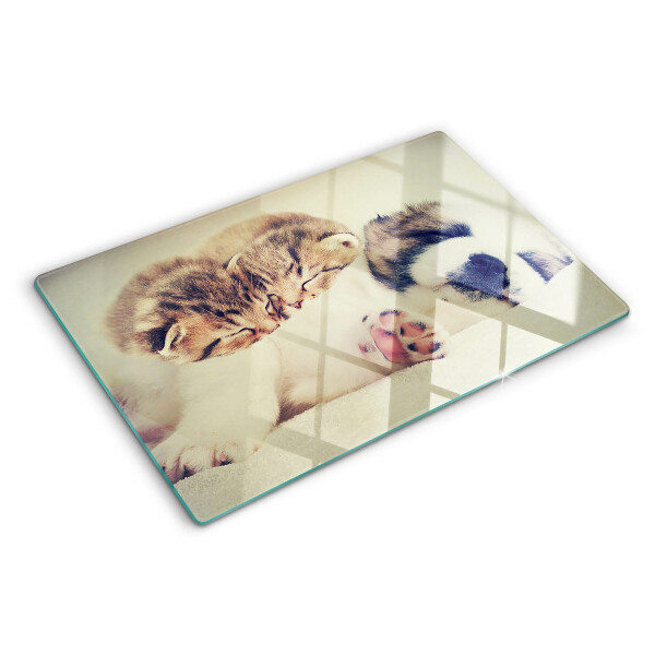 Planche à découper verre Des chats et un chien dorment ensemble