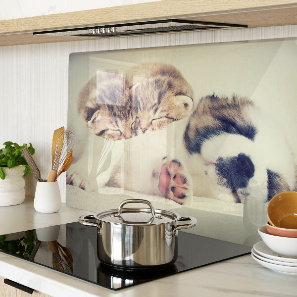 Planche à découper verre Des chats et un chien dorment ensemble