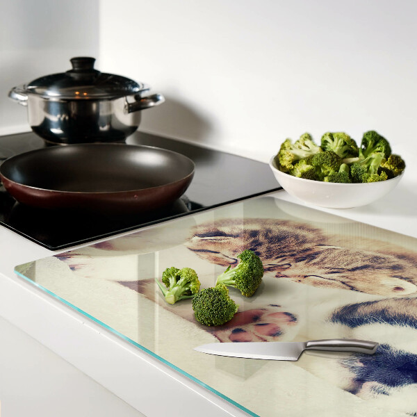 Planche à découper verre Des chats et un chien dorment ensemble
