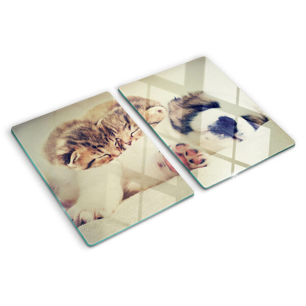 Planche à découper verre Des chats et un chien dorment ensemble
