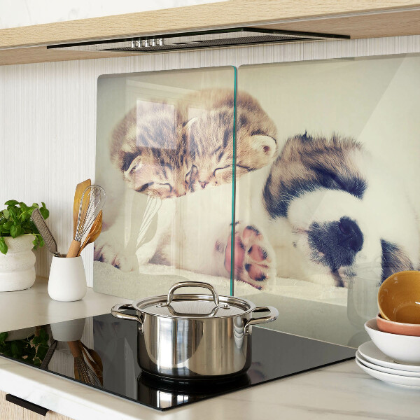 Planche à découper verre Des chats et un chien dorment ensemble