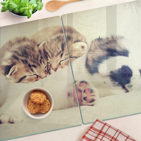 Planche à découper verre Des chats et un chien dorment ensemble