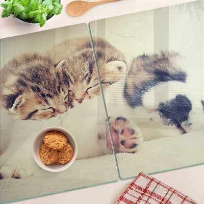 Planche à découper verre Des chats et un chien dorment ensemble