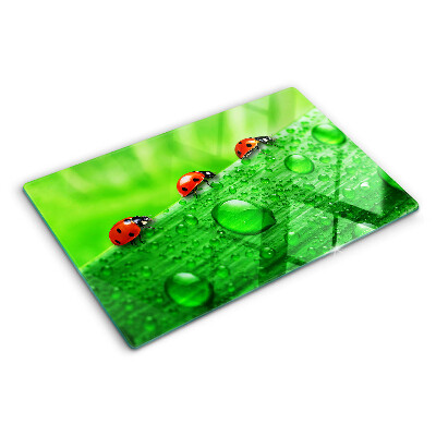 Planche à découper verre Coccinelles sur fond vert