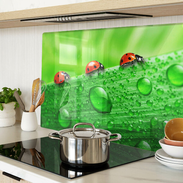 Planche à découper verre Coccinelles sur fond vert