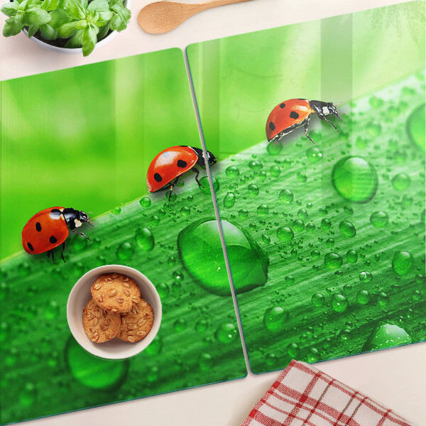 Planche à découper verre Coccinelles sur fond vert