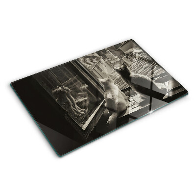 Planche à découper verre Des chats à la fenêtre