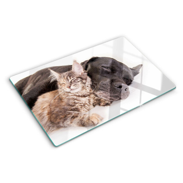 Planche à découper en verre Chat et chien dormant ensemble