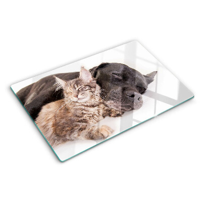 Planche à découper en verre Chat et chien dormant ensemble