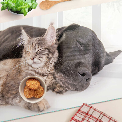 Planche à découper en verre Chat et chien dormant ensemble