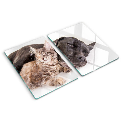 Planche à découper en verre Chat et chien dormant ensemble