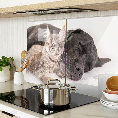 Planche à découper en verre Chat et chien dormant ensemble
