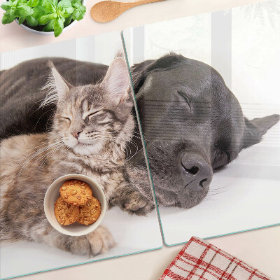 Planche à découper en verre Chat et chien dormant ensemble