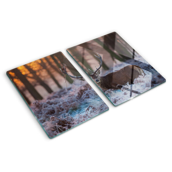 Planche à découper en verre Cerf dans la forêt d'hiver