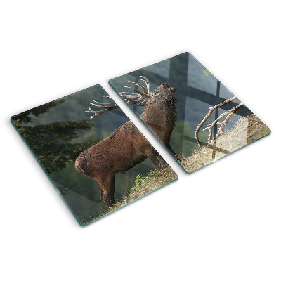 Planche à découper en verre Cerf dans son habitat naturel