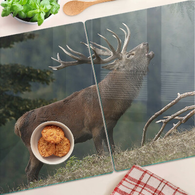 Planche à découper en verre Cerf dans son habitat naturel