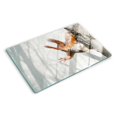 Planche à découper verre Écureuil sur une branche