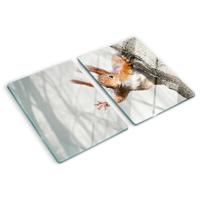 Planche à découper verre Écureuil sur une branche