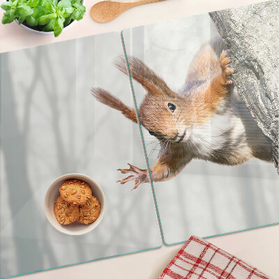 Planche à découper verre Écureuil sur une branche
