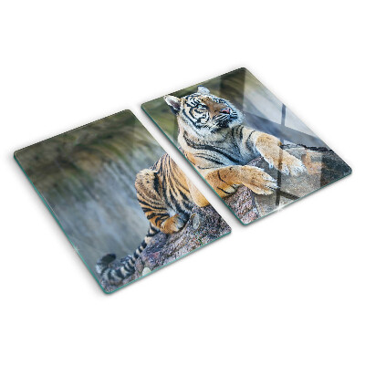 Planche à découper en verre Tigre sur un tronc d'arbre