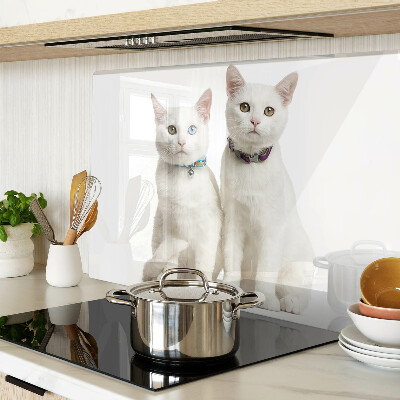 Planche à découper verre Chats blancs avec des yeux de couleurs différentes