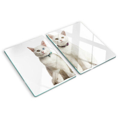 Planche à découper verre Chats blancs avec des yeux de couleurs différentes