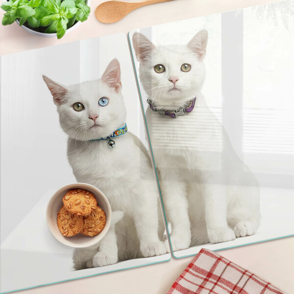 Planche à découper verre Chats blancs avec des yeux de couleurs différentes