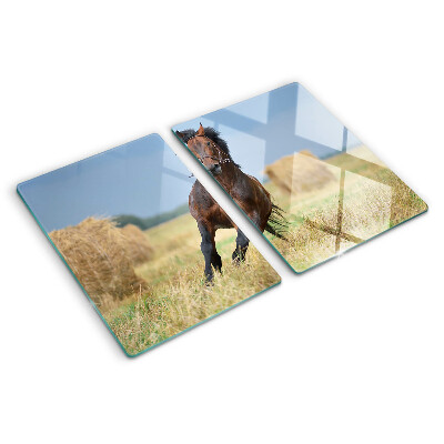 Planche à découper verre Un cheval dans le pré